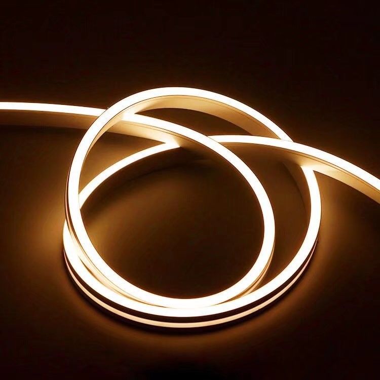 Dc blanc froid chaud au néon flexible imperméable 12/24V de la lumière de bande du silicium LED IP67 pour le décor d'intérieur extérieur
