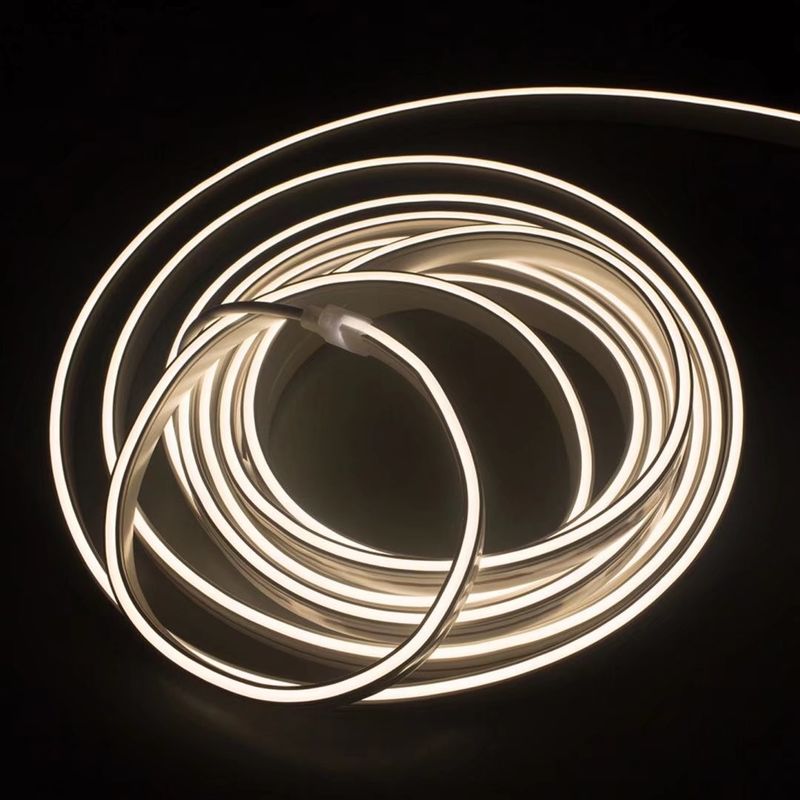 Les lumières au néon de bande de corde du silicone flexible LED colorent IP65 extérieur variable IP67