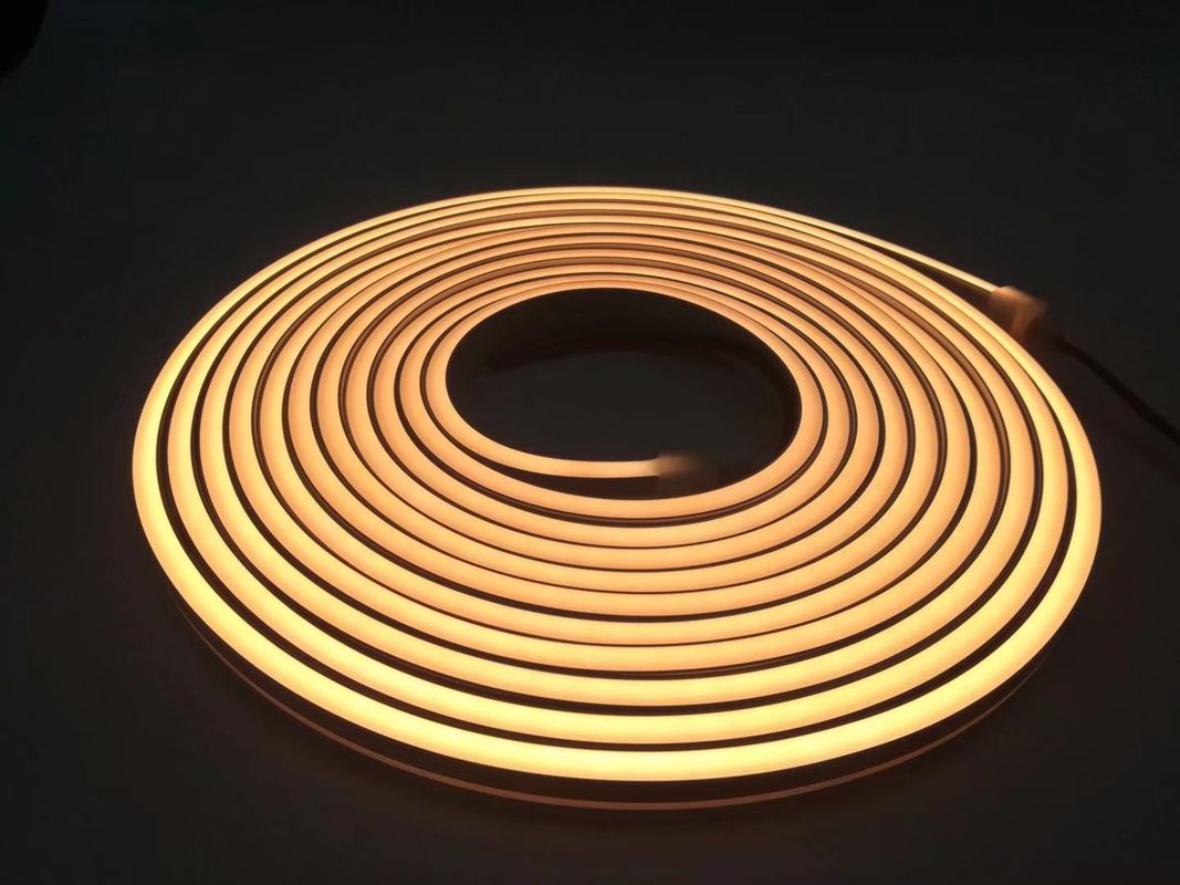 Les lumières au néon de bande de corde du silicone flexible LED colorent IP65 extérieur variable IP67