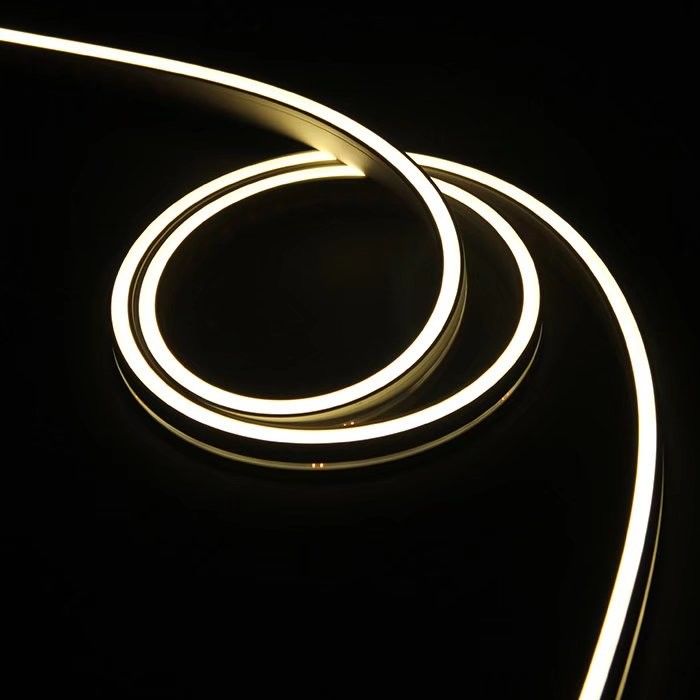 Les lumières au néon de bande de corde du silicone flexible LED colorent IP65 extérieur variable IP67