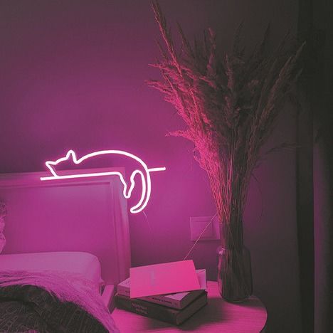C.C au néon flexible lumineux 12V de silicone de lumière de bande de LED imperméabilisent décoratif