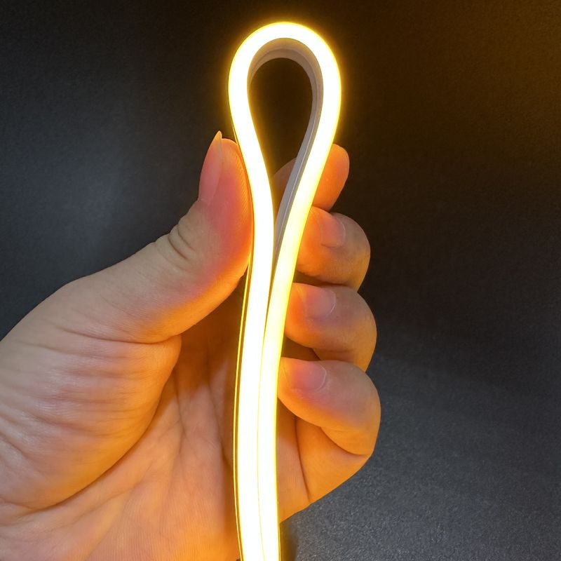 Flex Rope Light Dual Color au néon mené Flex Led Strip au néon 24V a mené les lumières flexibles de tube