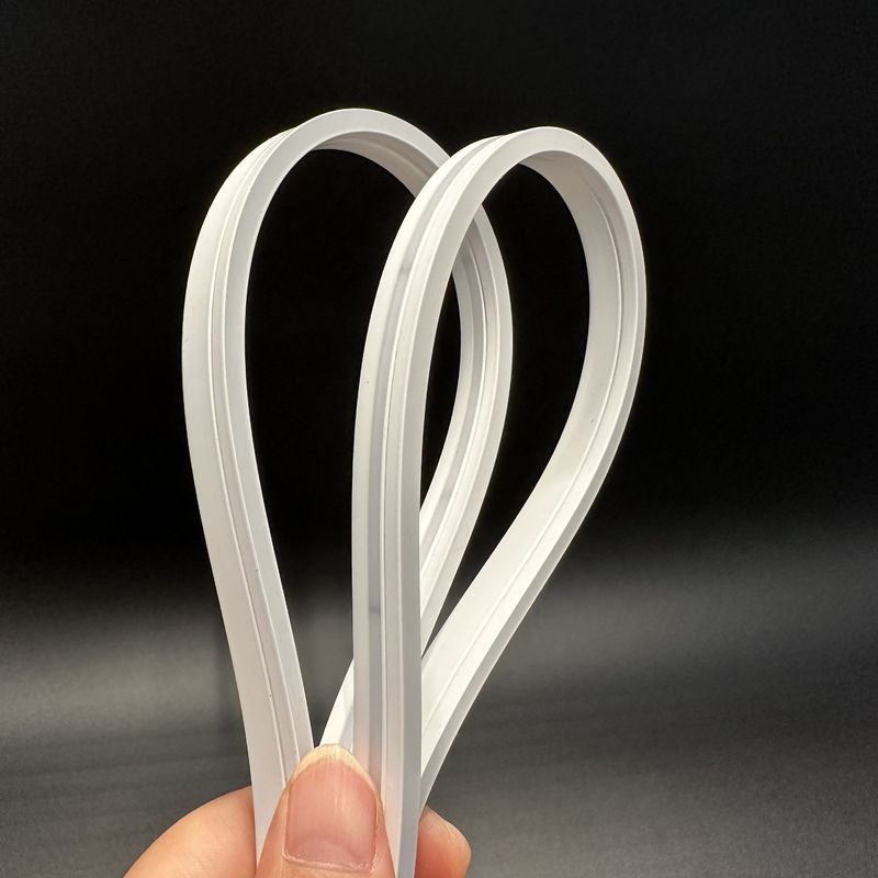 Le double silicone flexible de la couleur 24V 12V Dimmiable a mené tube d'intérieur/extérieur de bande de silicone