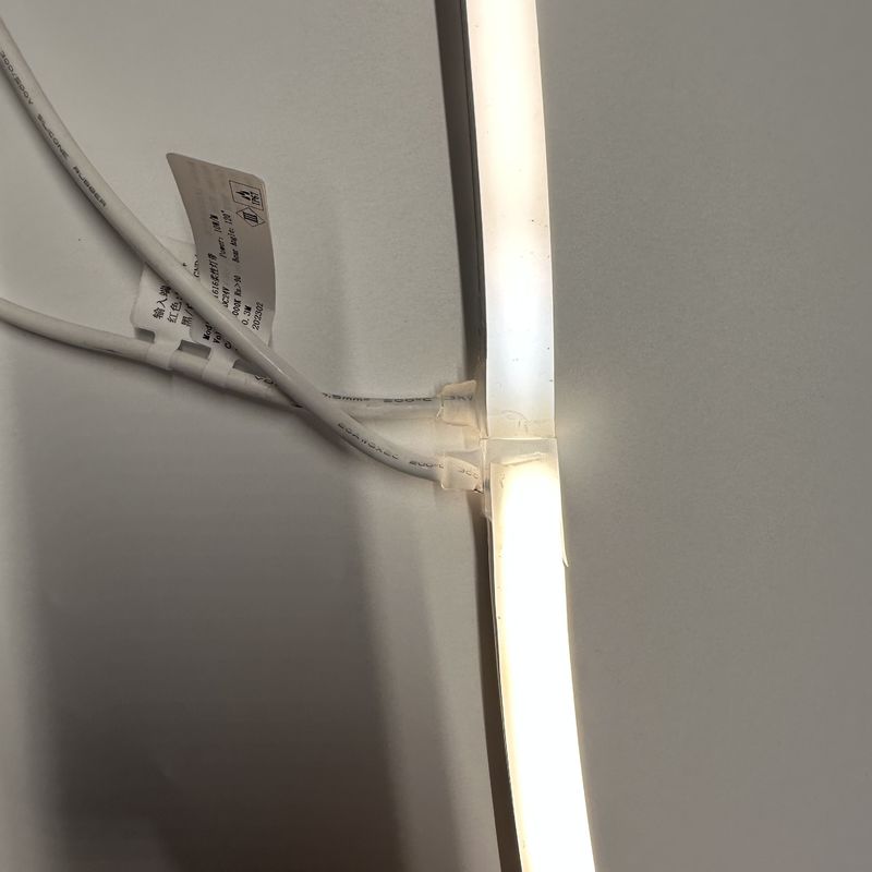Rayures 12V/24V au néon molles de C.C 120LEDs/M For Indoor/lampe au néon extérieure du silicone 24V de LED