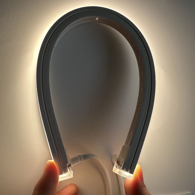 Rayures 12V/24V au néon molles de C.C 120LEDs/M For Indoor/lampe au néon extérieure du silicone 24V de LED